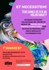 Cartell Voluntariat Merlet